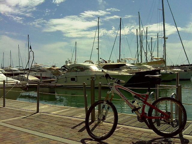 DSC00378.JPG