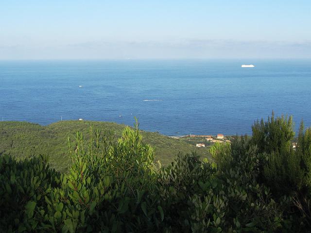 IMG_2521a.jpg