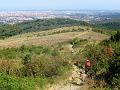 IMG_2513a