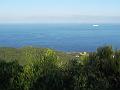 IMG_2521a