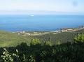 IMG_2524a
