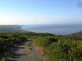 IMG_2527a