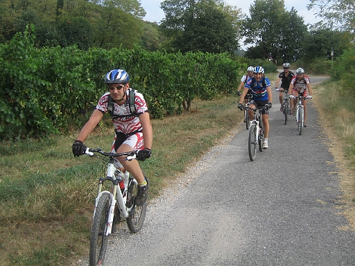 IMG_2619.JPG