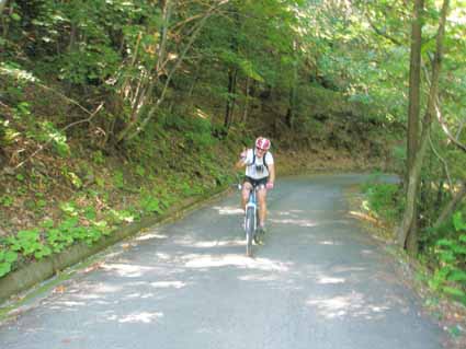 P9060024.JPG - OLYMPUS DIGITAL CAMERA