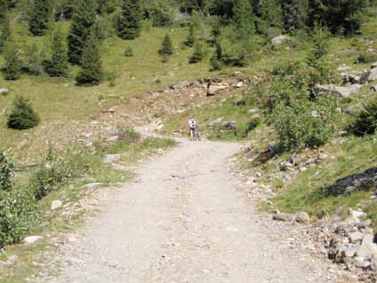 P9060027.JPG - OLYMPUS DIGITAL CAMERA