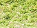 P9060020