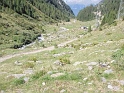 P9060025