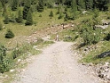 P9060028