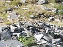 P9060031